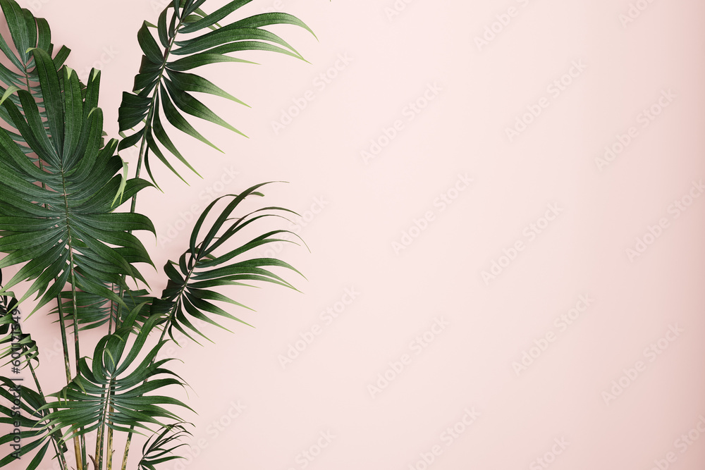 Interior background palm tree branches