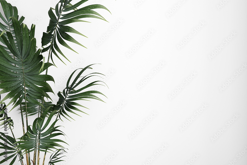 Wall mockup palm tree branch Wall mockup palm tree branch