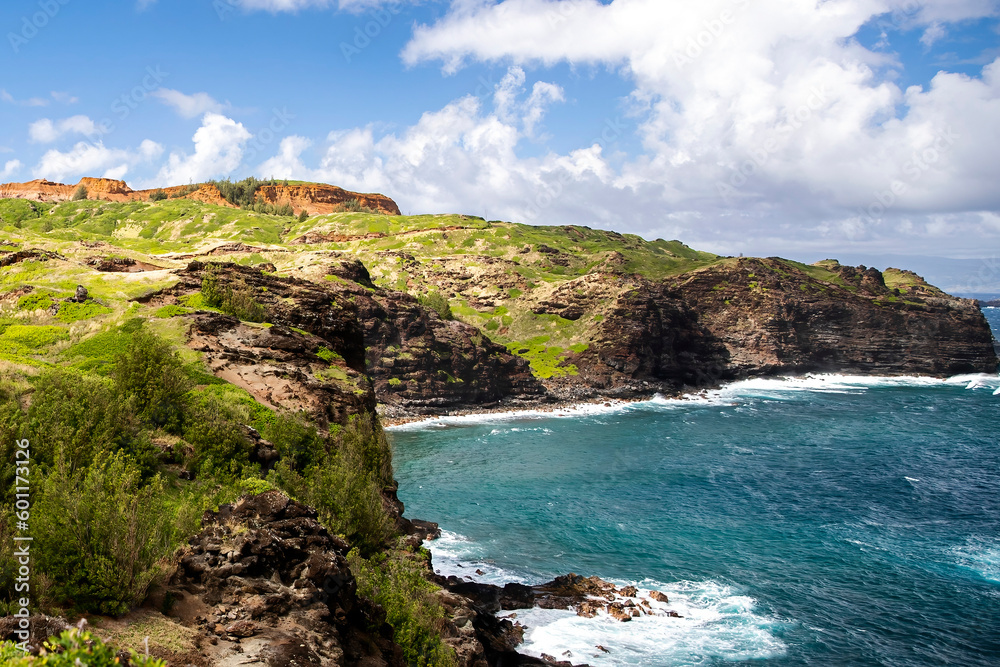Fototapeta premium Western coast of maui hawaii