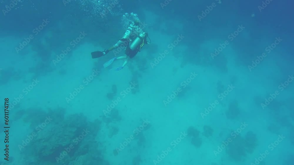 in the azure sea water, a scuba diver is engaged in underwater photography and a flock of small fish. in the azure sea water, a scuba diver is engaged in underwater photography and a flock of small fish.