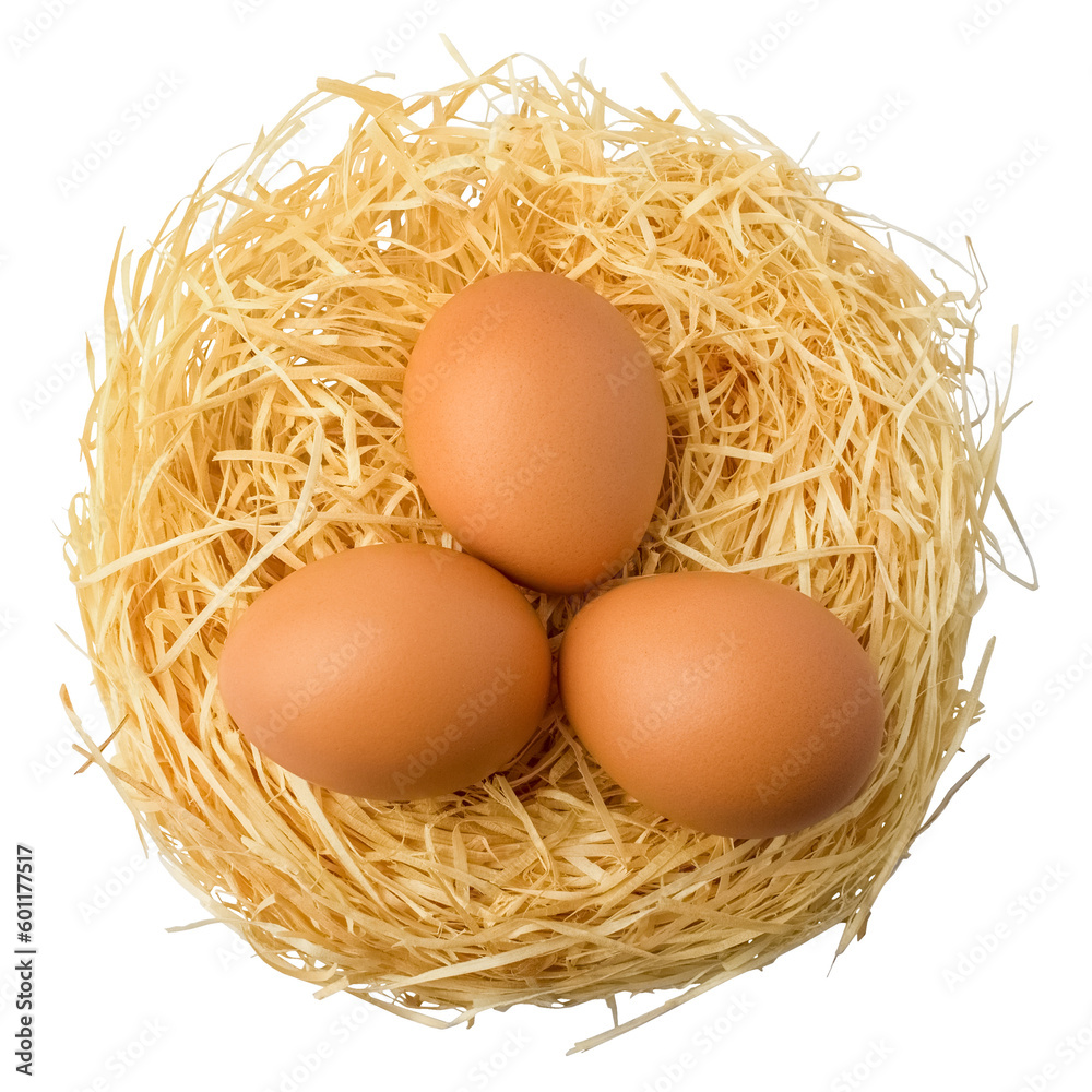 Fresh eggs in a nest of straw on a white background. Isolated Fresh eggs in a nest of straw on a white background. Isolated