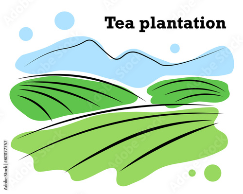 Tea plantation in the mountains. Vector illustration in doodle style