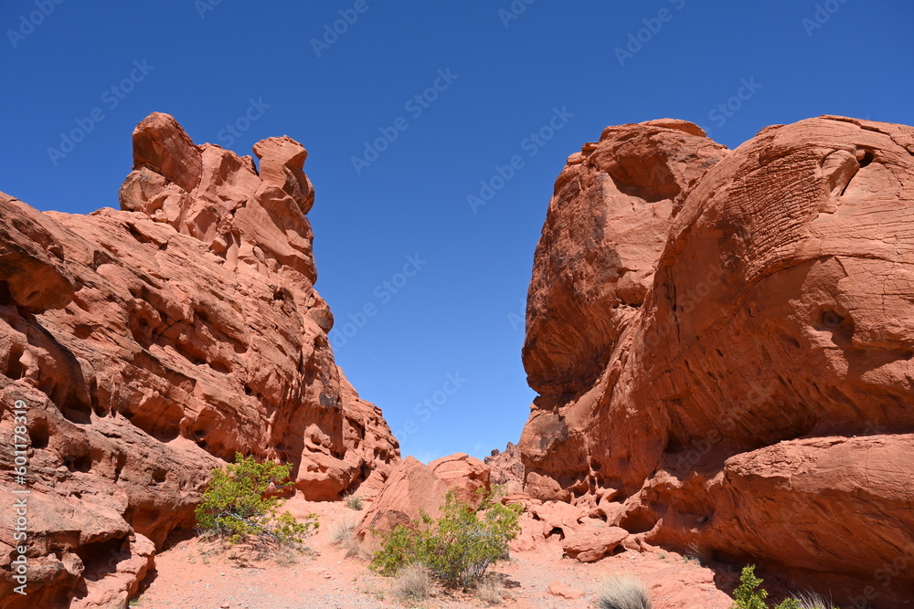 Western USA desert