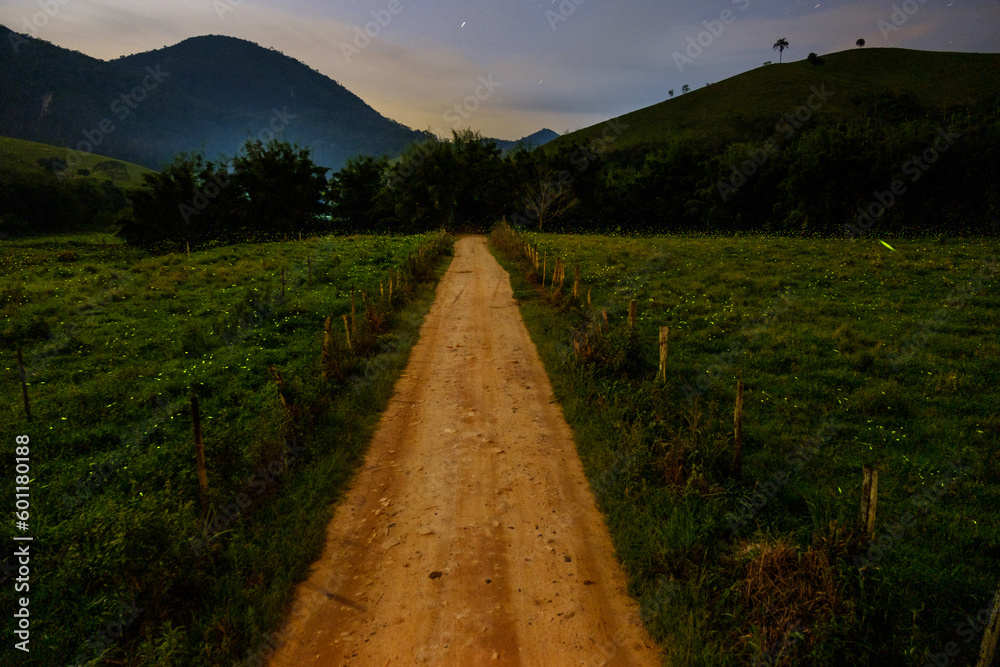 Road through the mountains with fireflies flying over the pasture