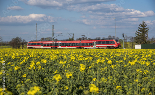 German trains run beside rapeseed flowers