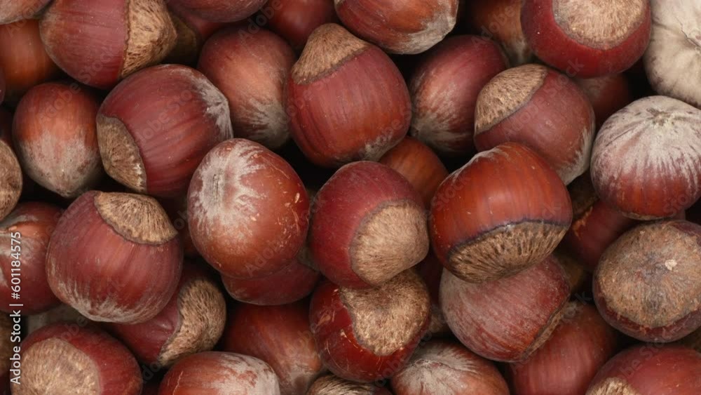 A Bowl Of Hazelnuts Rotates. Extreme Close Up. Top View. 4k. ProRes. A Bowl Of Hazelnuts Rotates. Extreme Close Up. Top View. 4k. ProRes.