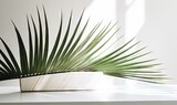  a large green plant sitting on top of a white table.  generative ai