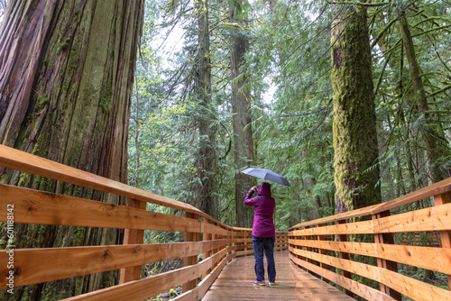 A senior woman pauses while hiking on a boardwalk in Cathedral Grove on Vancouver Island, Canada