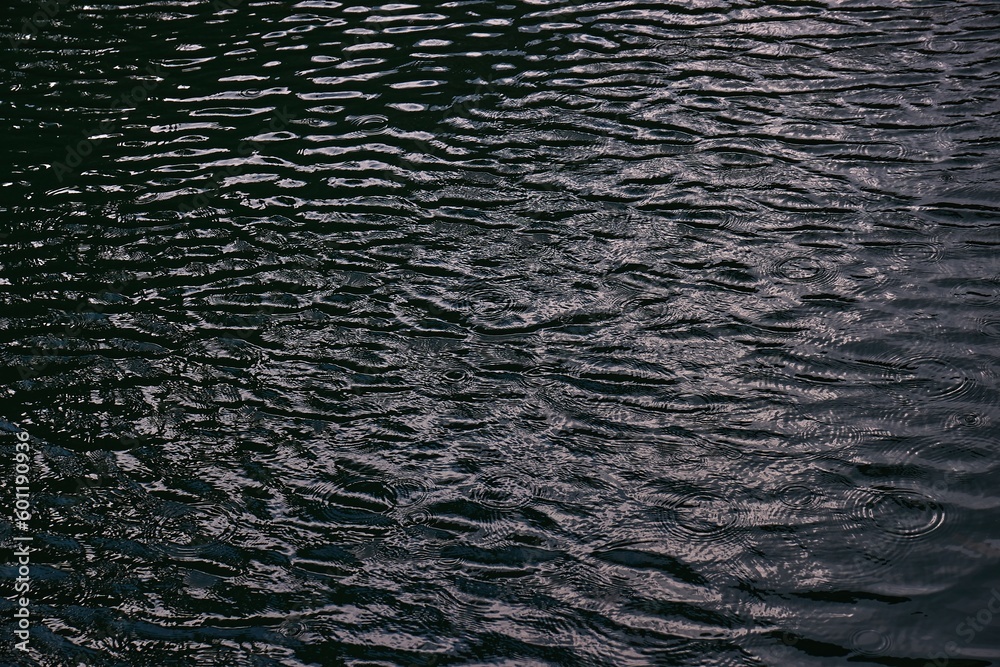 Obraz premium Water Surface Ripples