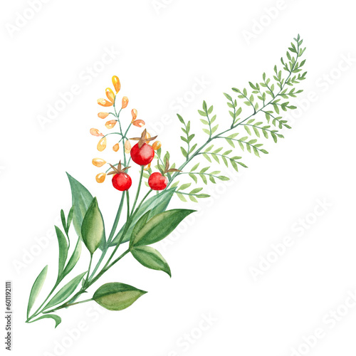 Watercolor summer bouquet of green branches, yellow wildflowers and red berries. Botanical hand drawn illustration isolated on white background. Can be used for greeting cards, invitations, floral