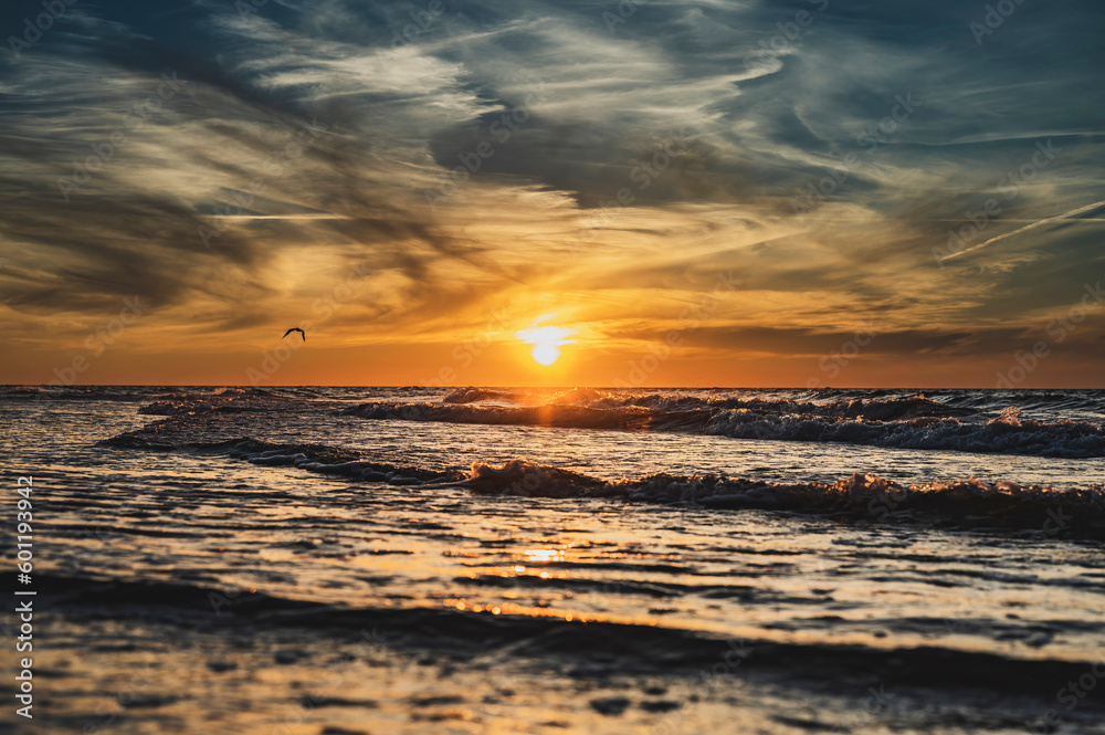 Piękny zachód słońca nad morzem, gdzie wzburzone fale łagodnie oblewają brzeg. W tle leci mewa, dodając niepowtarzalnego uroku temu widokowi. To idylliczne połączenie ruchu fal i kolorów zachodu. - obrazy, fototapety, plakaty 
