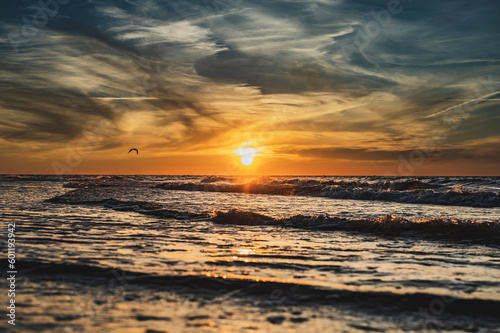 Piękny zachód słońca nad morzem, gdzie wzburzone fale łagodnie oblewają brzeg. W tle leci mewa, dodając niepowtarzalnego uroku temu widokowi. To idylliczne połączenie ruchu fal i kolorów zachodu.