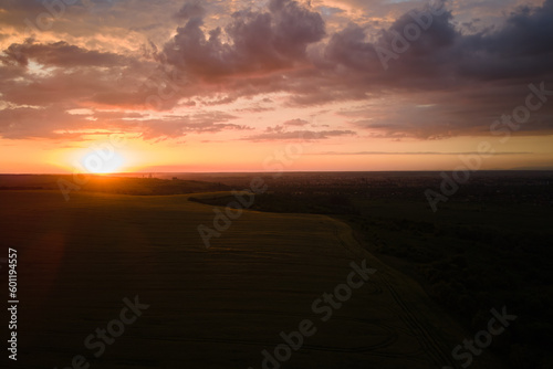 Aerial landscape view of yellow cultivated agricultural field with ripe wheat on vibrant summer evening