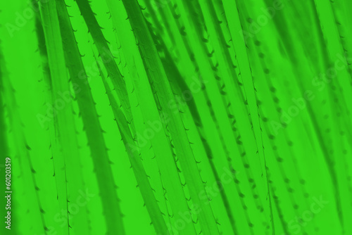 Bright glowing green abstract background with cactus thorns pattern