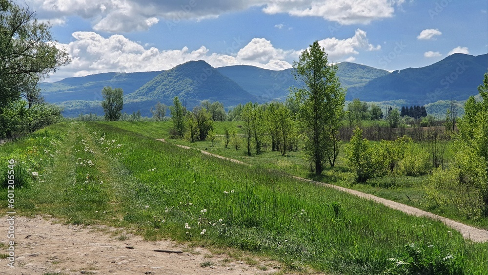road leading to the mountains