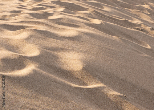 Close-up detail view of sand on sand dunes at the beach © littleny