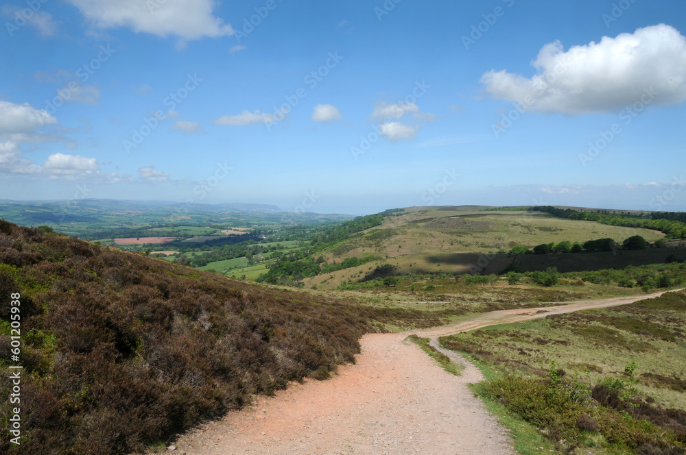 A footpath leading away into the distance over the Quantock hills on a sunny spring morning