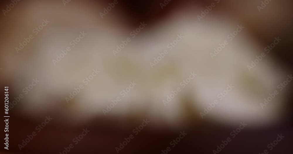focus on a fresh soft cheese for cooking different types of food, fresh creamy soft cheese made from milk