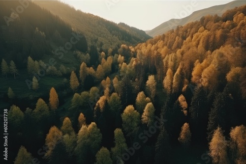 an autumnal aerial view of a forest with golden foliage Generative AI