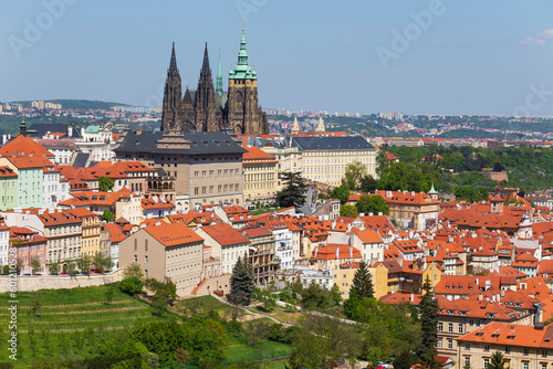 Spring Prague City with gothic Castle and the colorful Nature with flowering Meadows from the Hill Petrin  Czech Republic