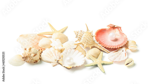 Seashells and starfishes on white background