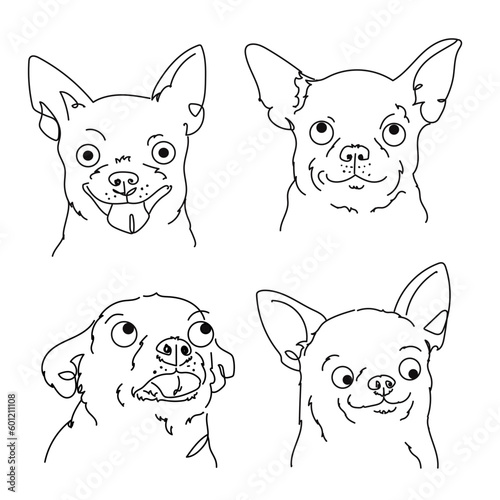 four expressive smooth haired chihuahua faces, line art, ugly portrait