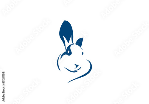 image of a rabbit