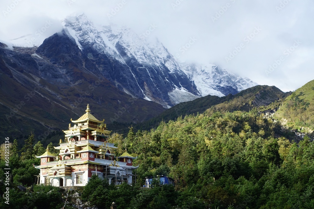 Discover tranquility at a Tibetan Buddhist monastery with a golden roof, nestled amidst the majestic Manaslu ranges, cloud-kissed snow mountains, and vibrant green forests.