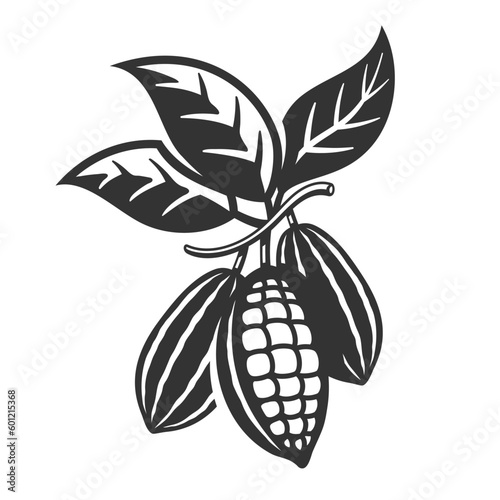 Cocoa pod isolated on white background. Logo template. Cacao beans. Vector illustration