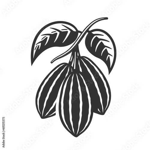Cocoa pod isolated on white background. Logo template. Cacao beans. Vector illustration