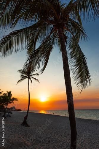 Atardecer entre palmeras de una playa tropical.