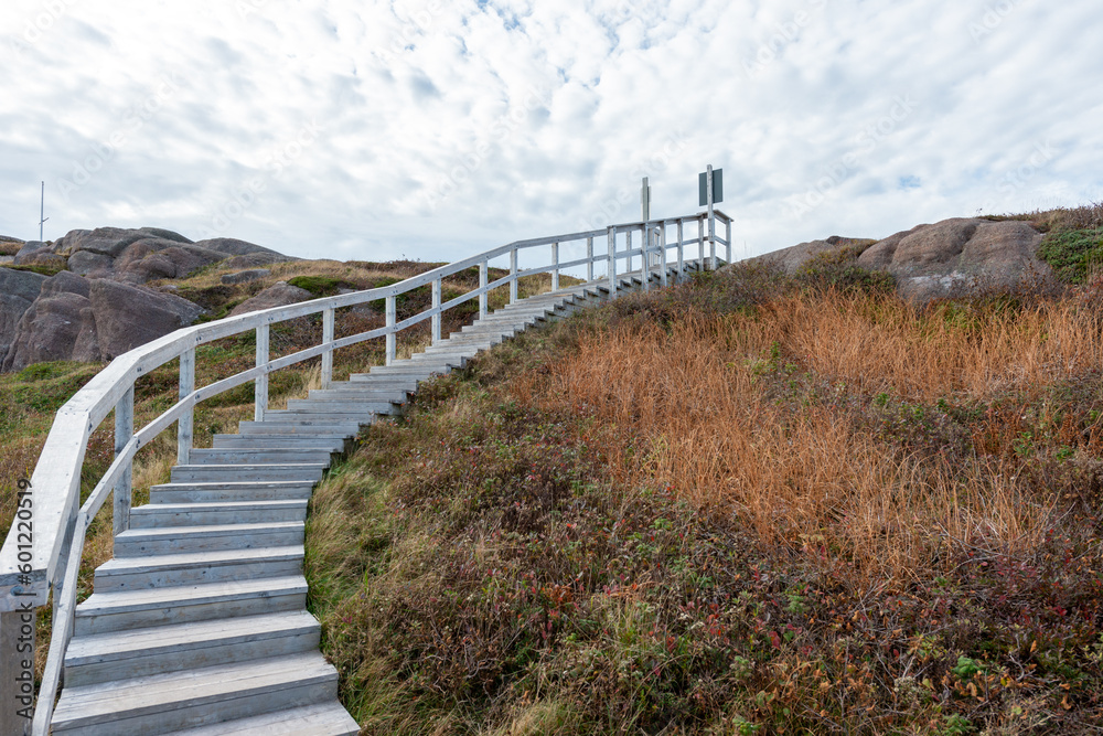 A long wood curved stairway up a rocky hill with a wooden handrail railing.  The steps have a low rise. The ground is rocky with shrubs and moss covered coatings. The natural outdoors trail is at fall