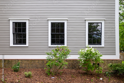 Three vintage identical double hung windows with trees reflecting on a beige color exterior wall. The windows are dark green with white trim. There are two small green shrubs in front of the building.