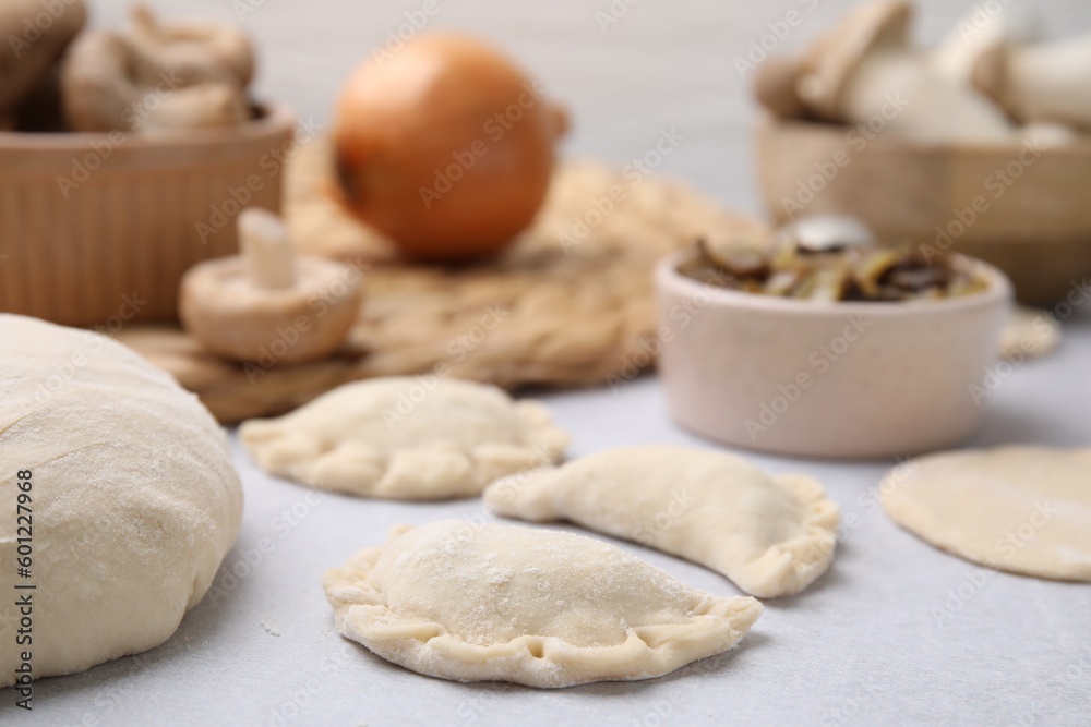 Process of making dumplings (varenyky) with mushrooms. Raw dough and ingredients on white table, closeup Process of making dumplings (varenyky) with mushrooms. Raw dough and ingredients on white table, closeup