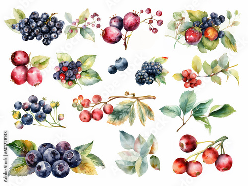 Watercolor illustration set of different summer berries on the white background