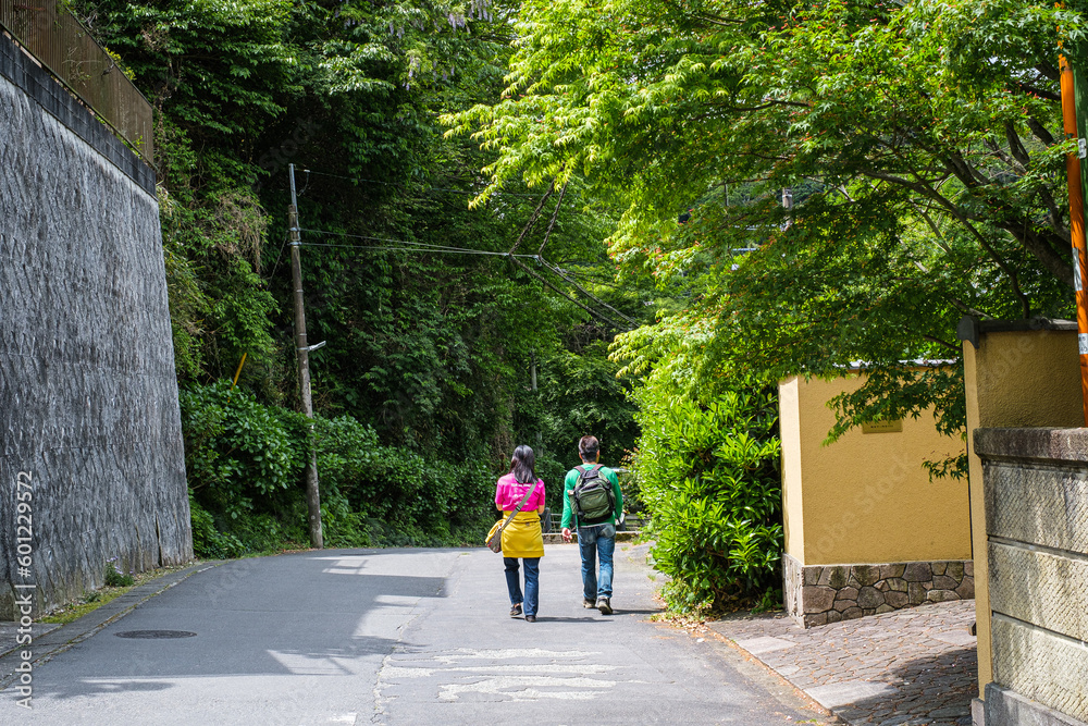 Fototapeta premium 新緑の中のハイキングデート