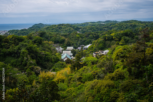 新緑に包まれる建長寺