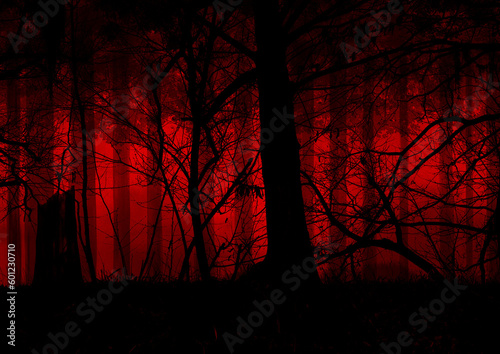 薄暗い赤い森の中