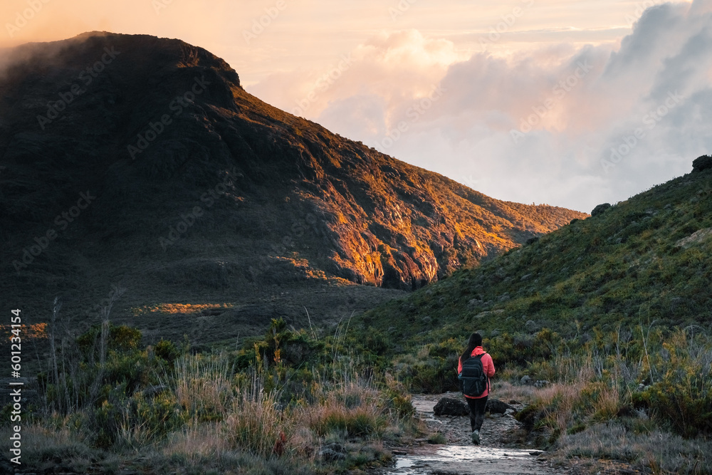 A woman hiking in the middle of the mountains of Costa Rica.