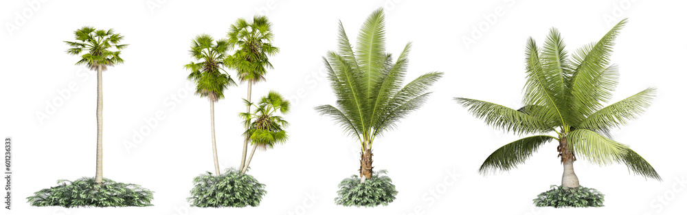 Palm tree in 3d rendering 