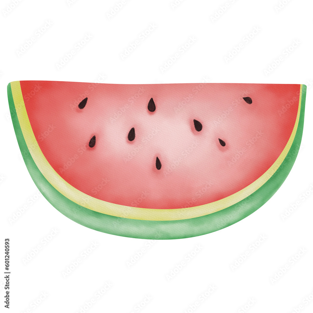 watermelon slice watercolour illustration watermelon slice watercolour illustration