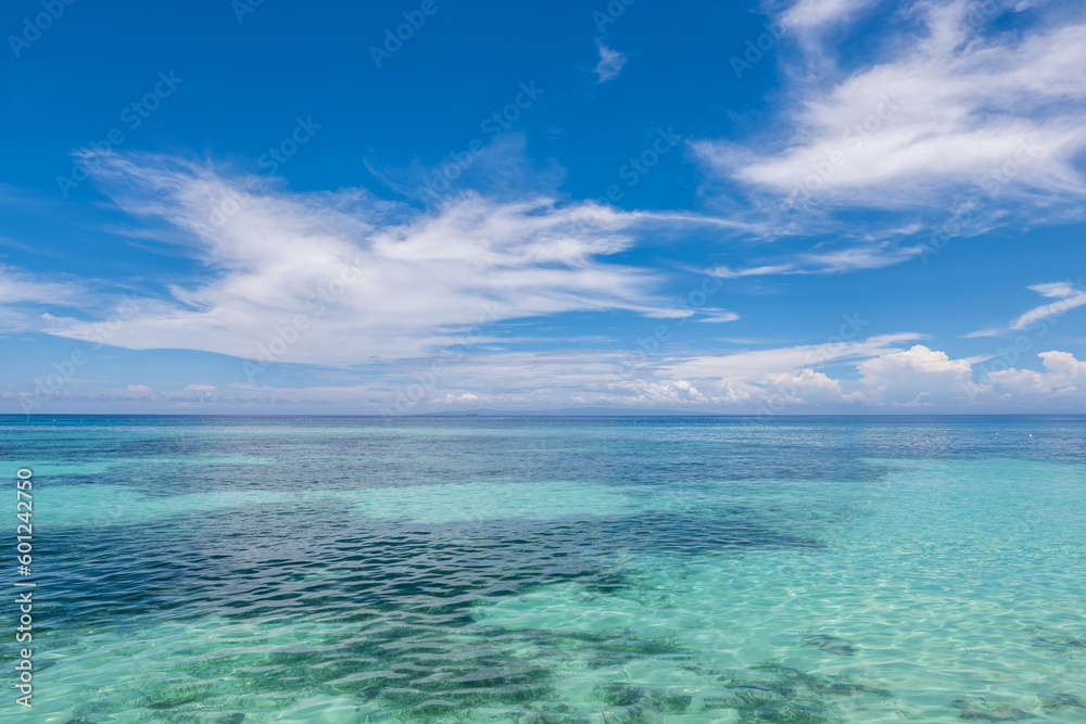 seascape of oslob in cebu island, philippines