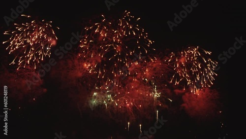 Wallpaper Mural Real Fireworks on night backgrounds. abstract real shining fireworks with bokeh lights in the night sky. Celebration fireworks festival and New year's eve. Colorful fireworks. Footage b roll scenes. Torontodigital.ca
