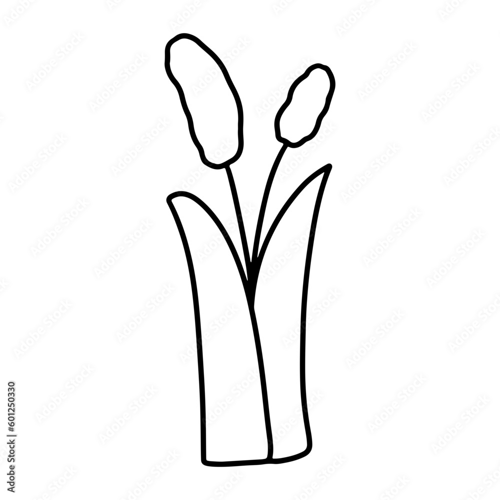 leaf leaf