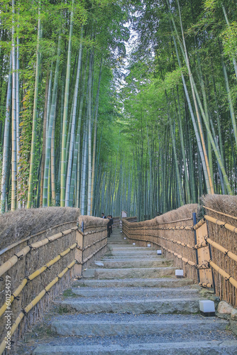 Bamboo Forest in Adashino Nenbutsu-ji Japan, Arashiyama, Kyoto