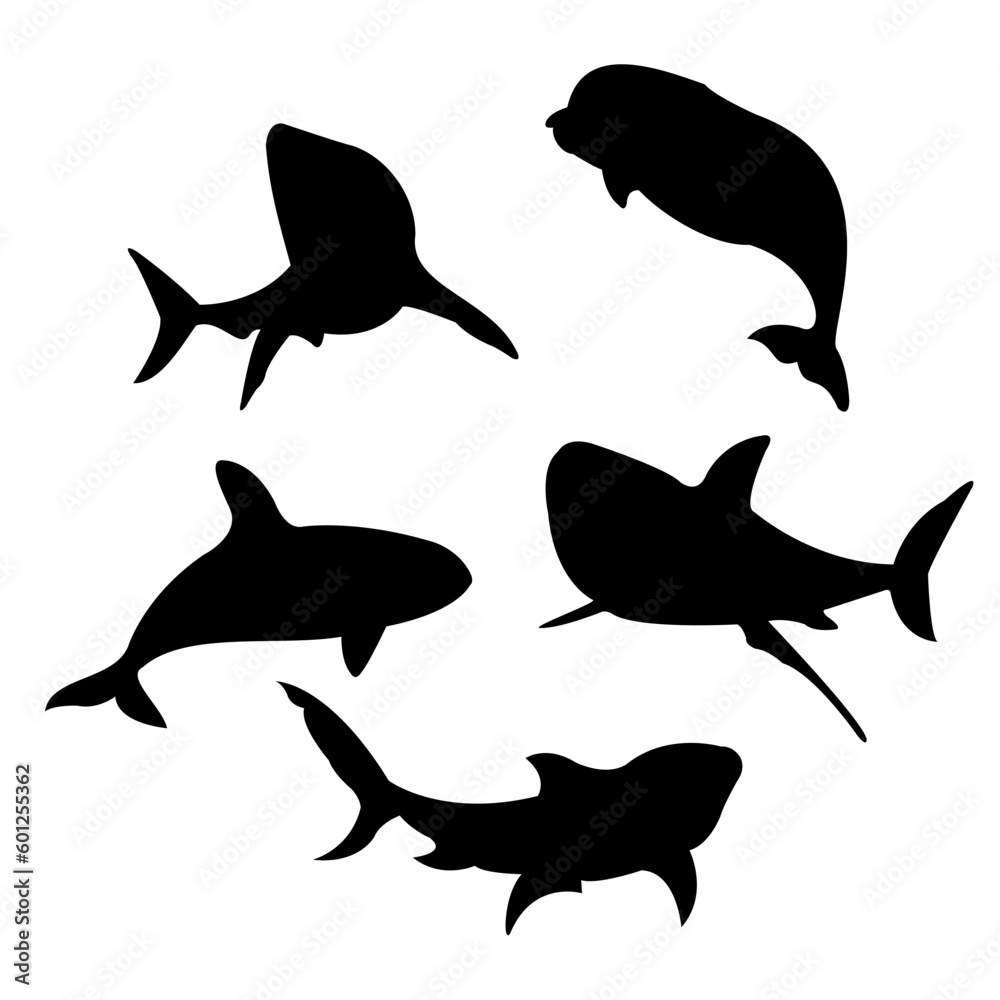 Fototapeta premium sea mammals silhouette vector illustration