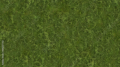 Green grass texture for sport background. Detailed pattern of green soccer field or football field grass lawn texture. Green lawn texture background. Close Up. 3D Rendering