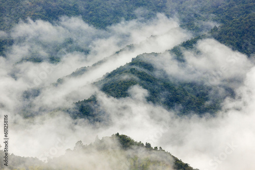 Top view Landscape of Morning Mist with Mountain