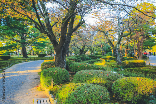 1 Nov 2013 the landscape of Kenroku Garden, Kanazawa, Japan photo