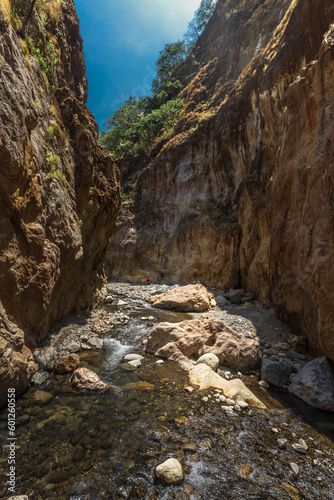 vertical shot of a landscape of a rocky canyon and the river bed on a hot sunny day in the province of Puntarenas in Costa Rica